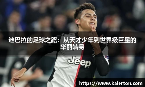 k1体育app下载