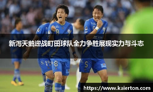 新泻天鹅迎战町田球队全力争胜展现实力与斗志